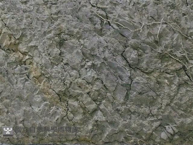 黑沃土綱藏品圖，第2張