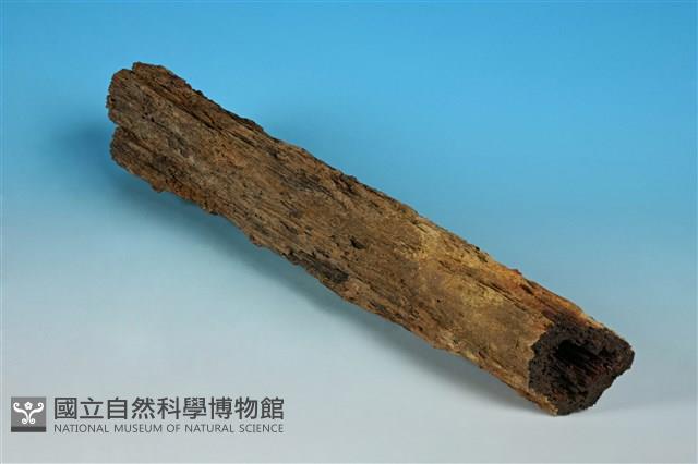 針鐵礦藏品圖，第2張