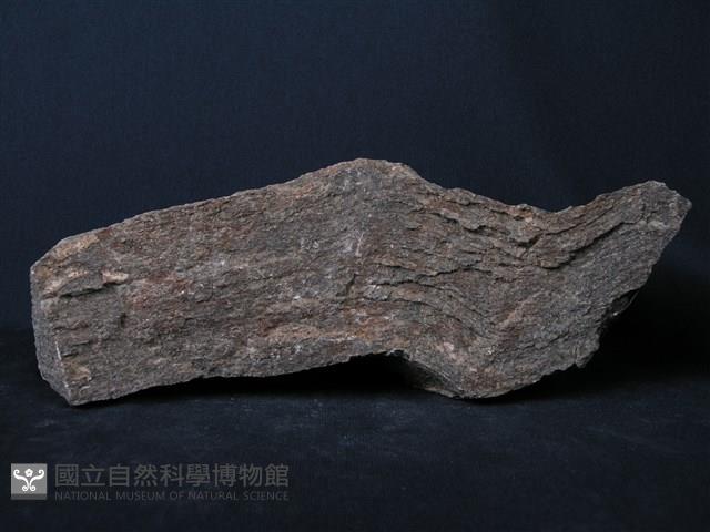 正片麻岩藏品圖，第2張
