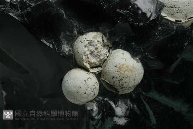方矽石 藏品圖，第2張