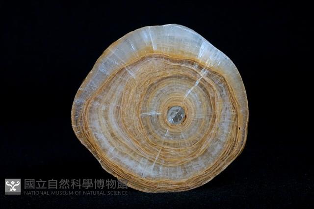 鐘乳石藏品圖，第5張