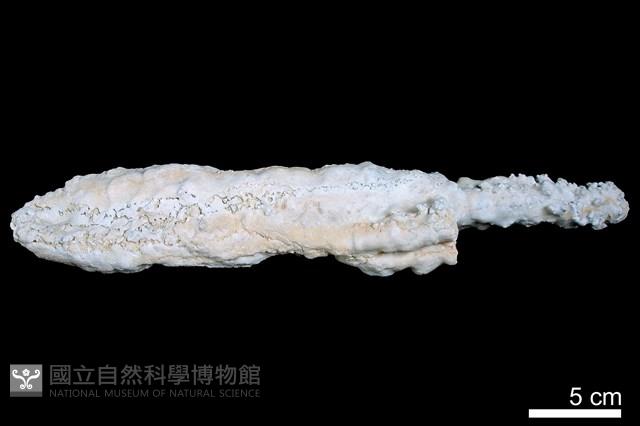 鐘乳石藏品圖，第2張