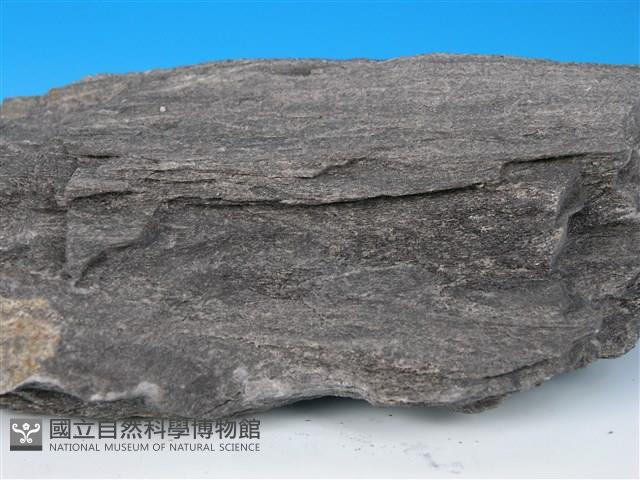 變質砂岩藏品圖，第2張
