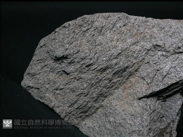 片岩藏品圖，第2張