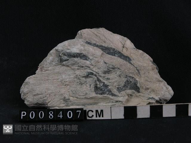 蛇紋岩,石棉藏品圖，第2張
