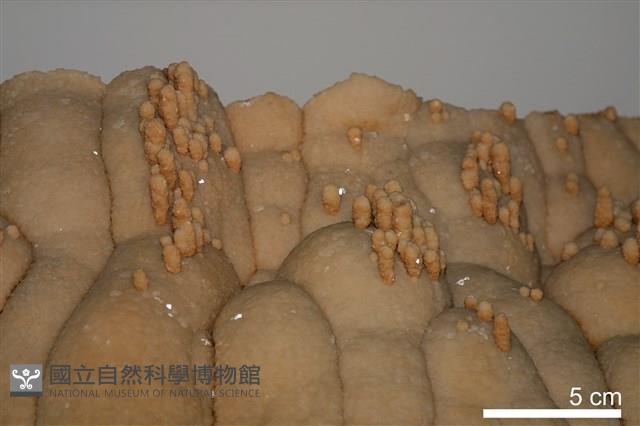 石灰華藏品圖，第2張