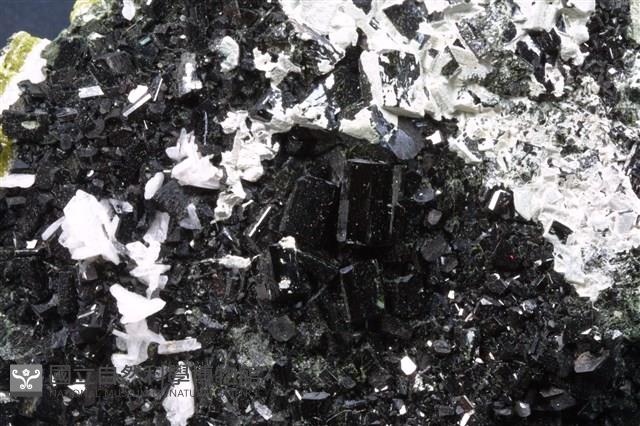 Augite Collection Image, Figure 2, Total 4 Figures