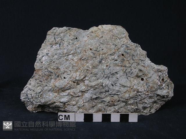 多矽白雲母藍閃片岩藏品圖，第2張
