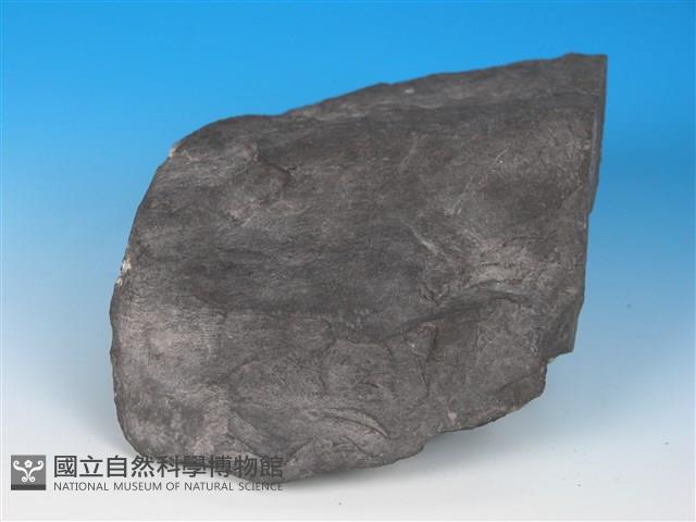 硬頁岩藏品圖，第2張