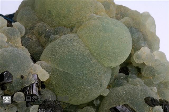  藏品圖，第2張
