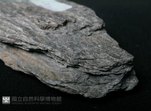 片岩藏品圖，第5張