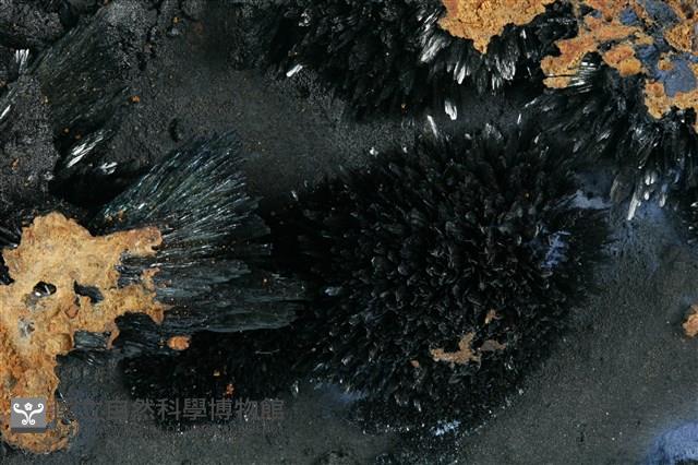 藍鐵礦藏品圖，第2張