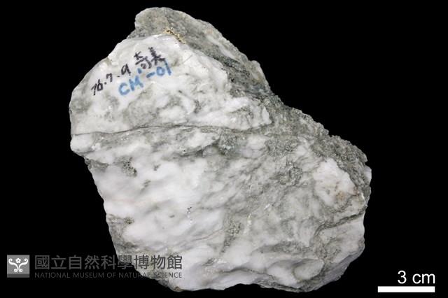 石膏藏品圖，第2張