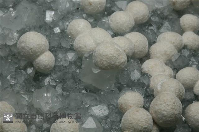 纖維鈣矽酸石 藏品圖，第2張