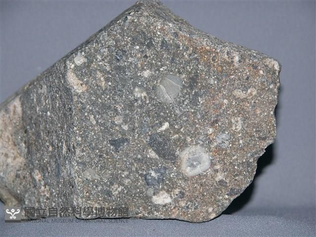 火山碎屑岩藏品圖，第2張