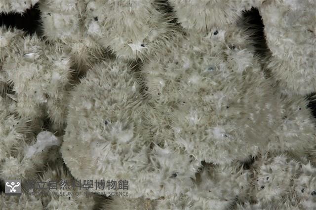 毛礬石藏品圖，第2張