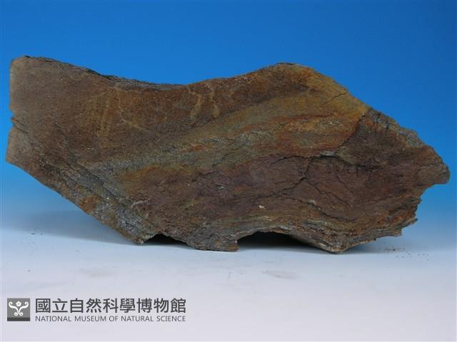 變質砂岩藏品圖，第2張