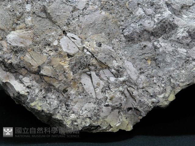 凝灰岩藏品圖，第2張