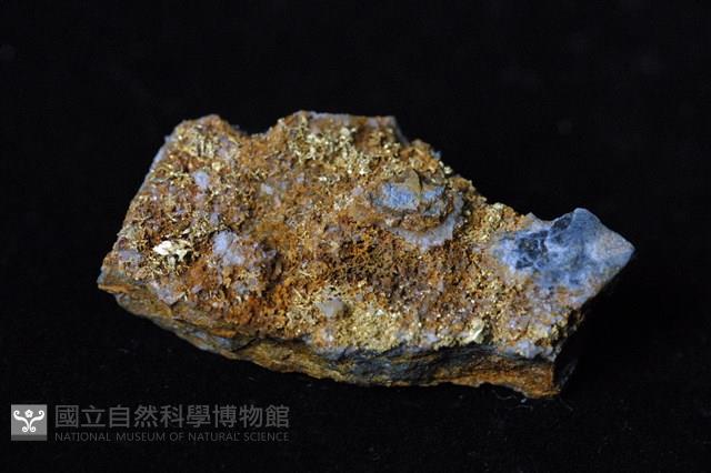 自然金藏品圖，第2張