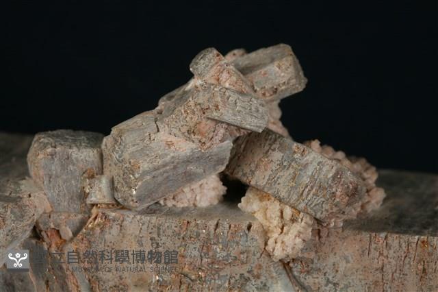 微斜長石藏品圖，第2張