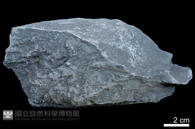 頁岩藏品圖，第2張