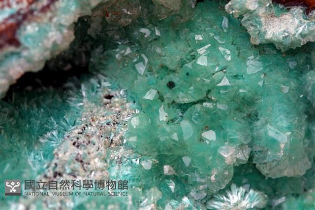 綠銅鋅礦 藏品圖，第2張