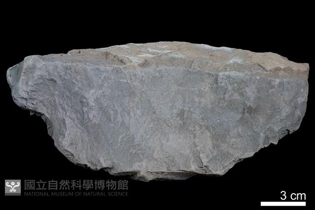 頁岩藏品圖，第2張