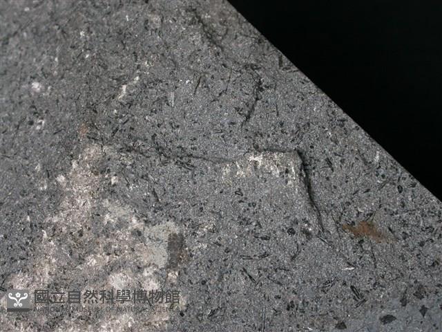 角閃安山岩藏品圖，第2張