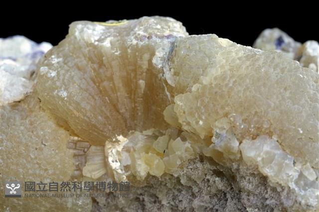 毒重石 藏品圖，第2張