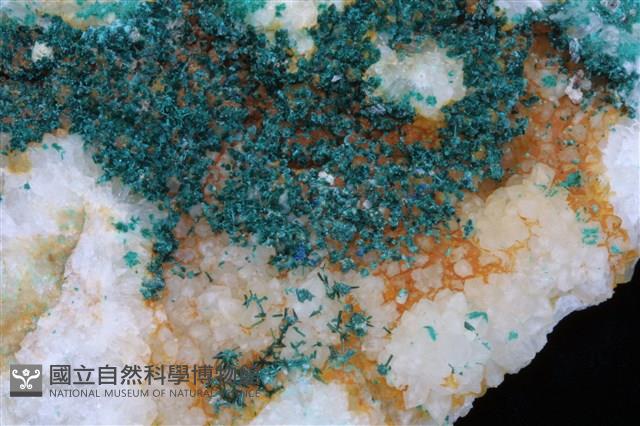 水膽礬藏品圖，第2張