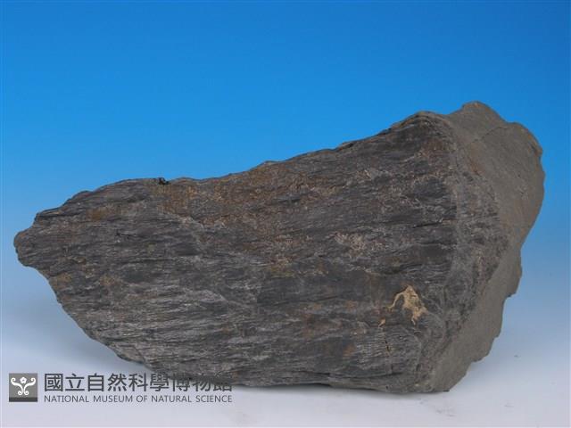 黑色片岩藏品圖，第2張