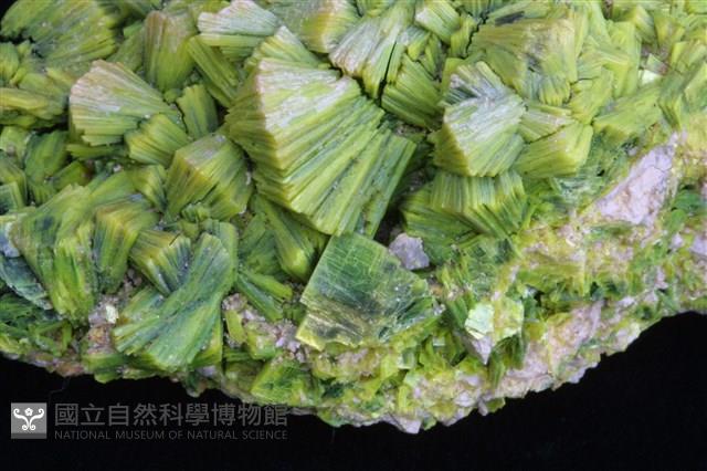 鈣鈾雲母藏品圖，第2張