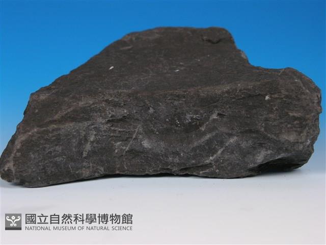 硬頁岩藏品圖，第2張