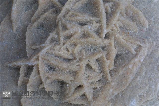 石膏藏品圖，第2張