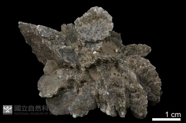 石膏藏品圖，第3張