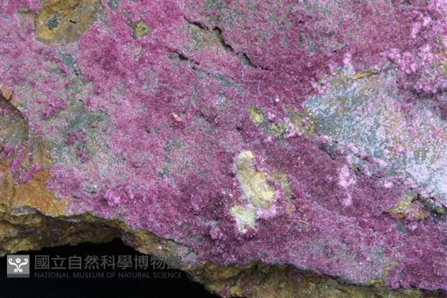 鈷華藏品圖，第2張