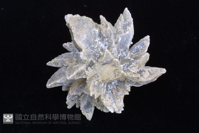 石膏藏品圖，第2張