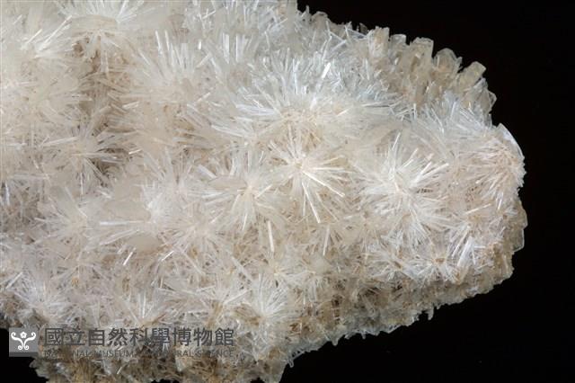 透石膏藏品圖，第2張