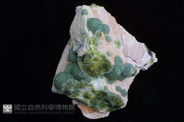 銀星石藏品圖，第2張