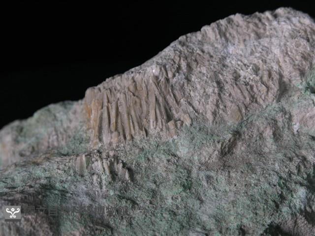 透閃石片岩藏品圖，第2張