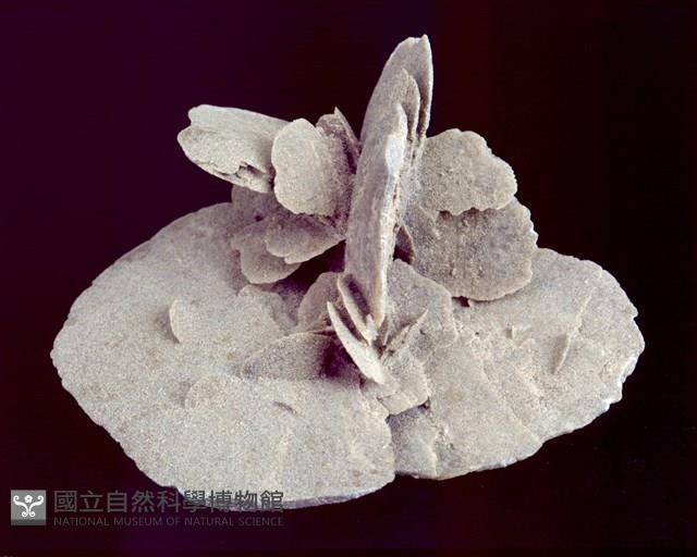 石膏/沙漠玫瑰 藏品圖，第2張