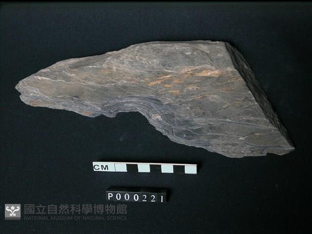 片岩藏品圖，第2張
