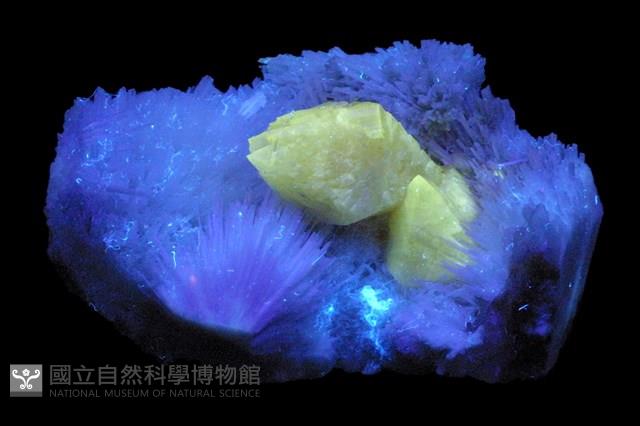 鉬鈣礦/中性針沸石藏品圖，第2張