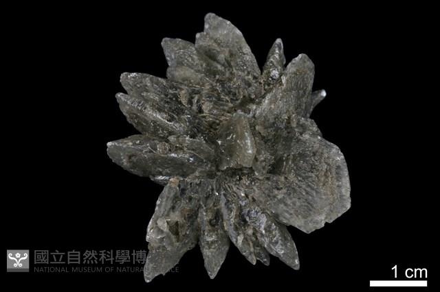 石膏藏品圖，第2張