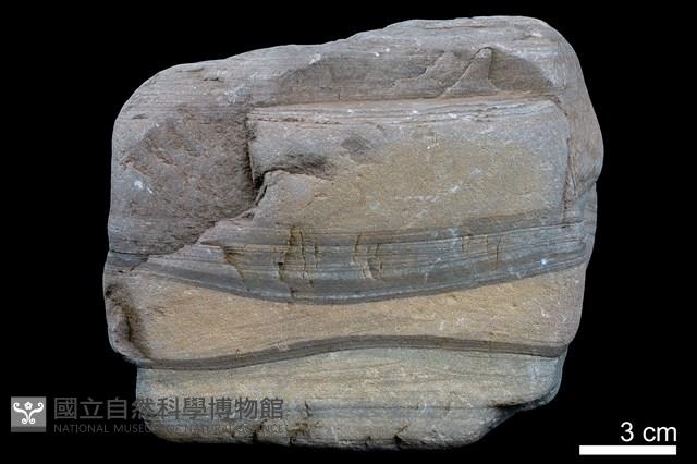 粉砂岩藏品圖，第2張