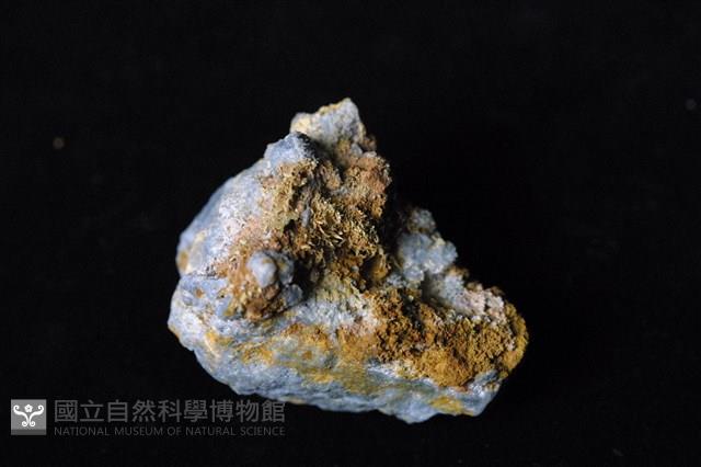 自然金藏品圖，第2張