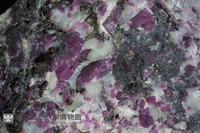 剛玉/紅寶石藏品圖，第2張