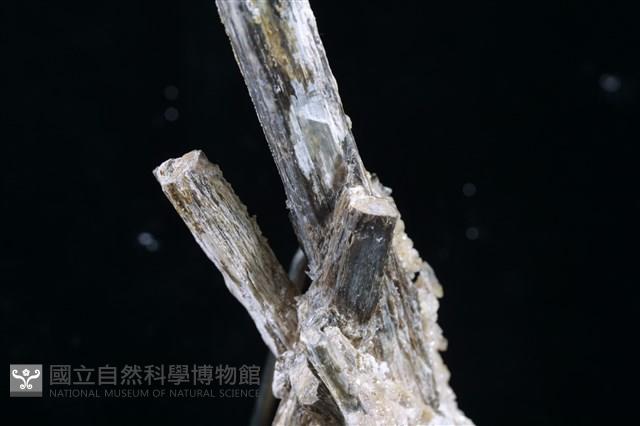黃銻華 藏品圖，第2張