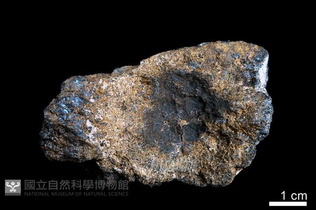 錳核藏品圖，第2張