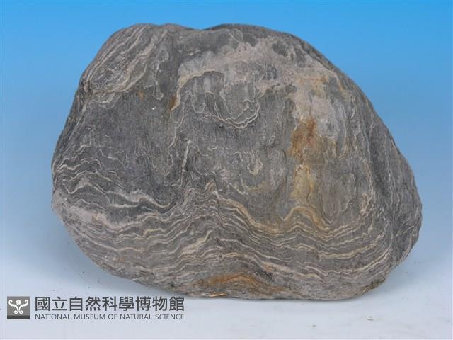黑色片岩藏品圖，第2張